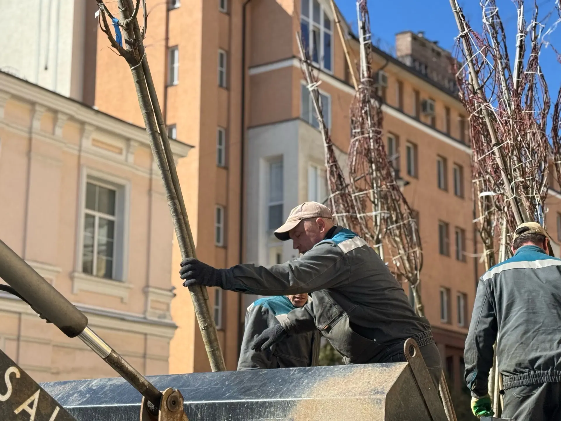 На улице Пржевальского сегодня ведутся работы по восстановлению зелёной зоны. Ранее здесь выполнялся
