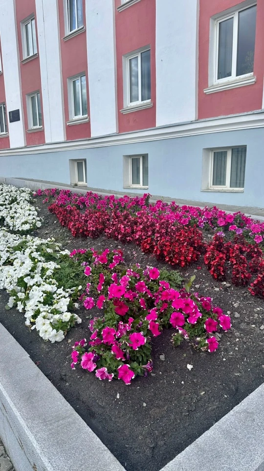 Успевайте замечать красоту!