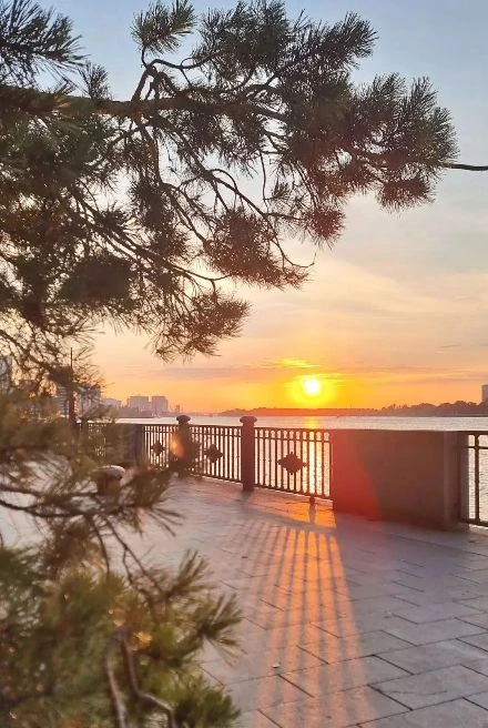 ☀️ Привет, Ростов-на-Дону!
