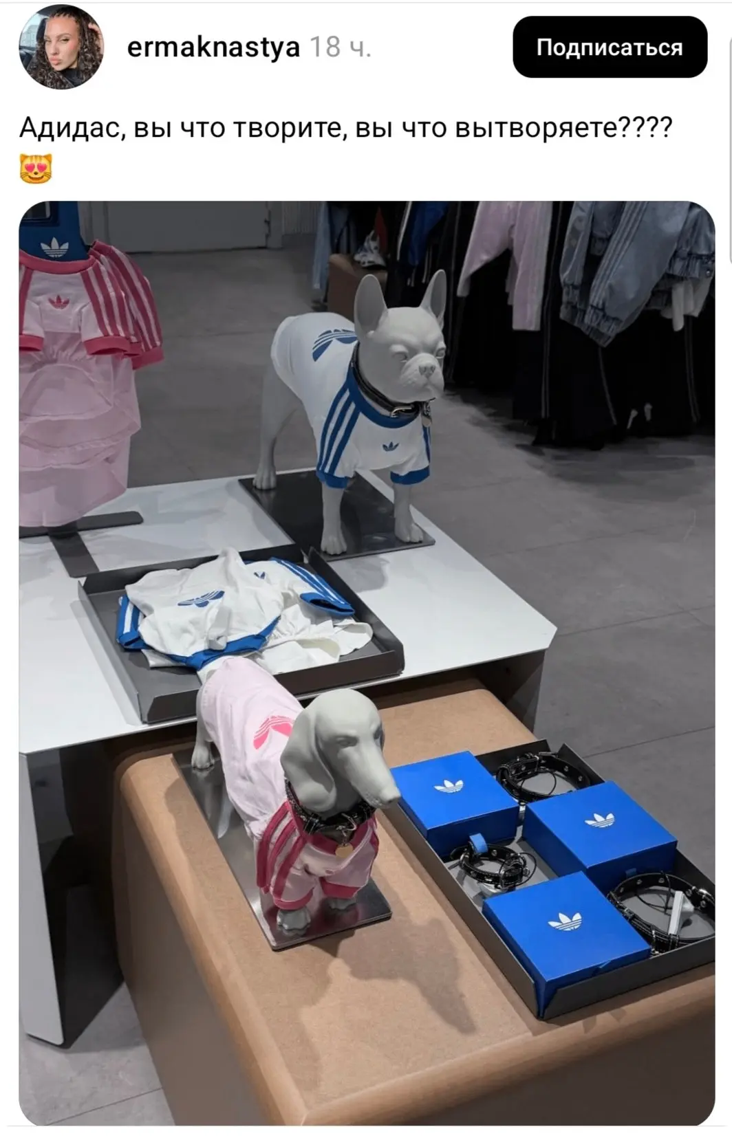 🐕 На прогулке теперь можно встретить собаку в Adidas. И она даже не будет стрелять сиг...