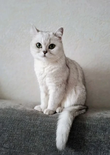 #ЙошкарОла