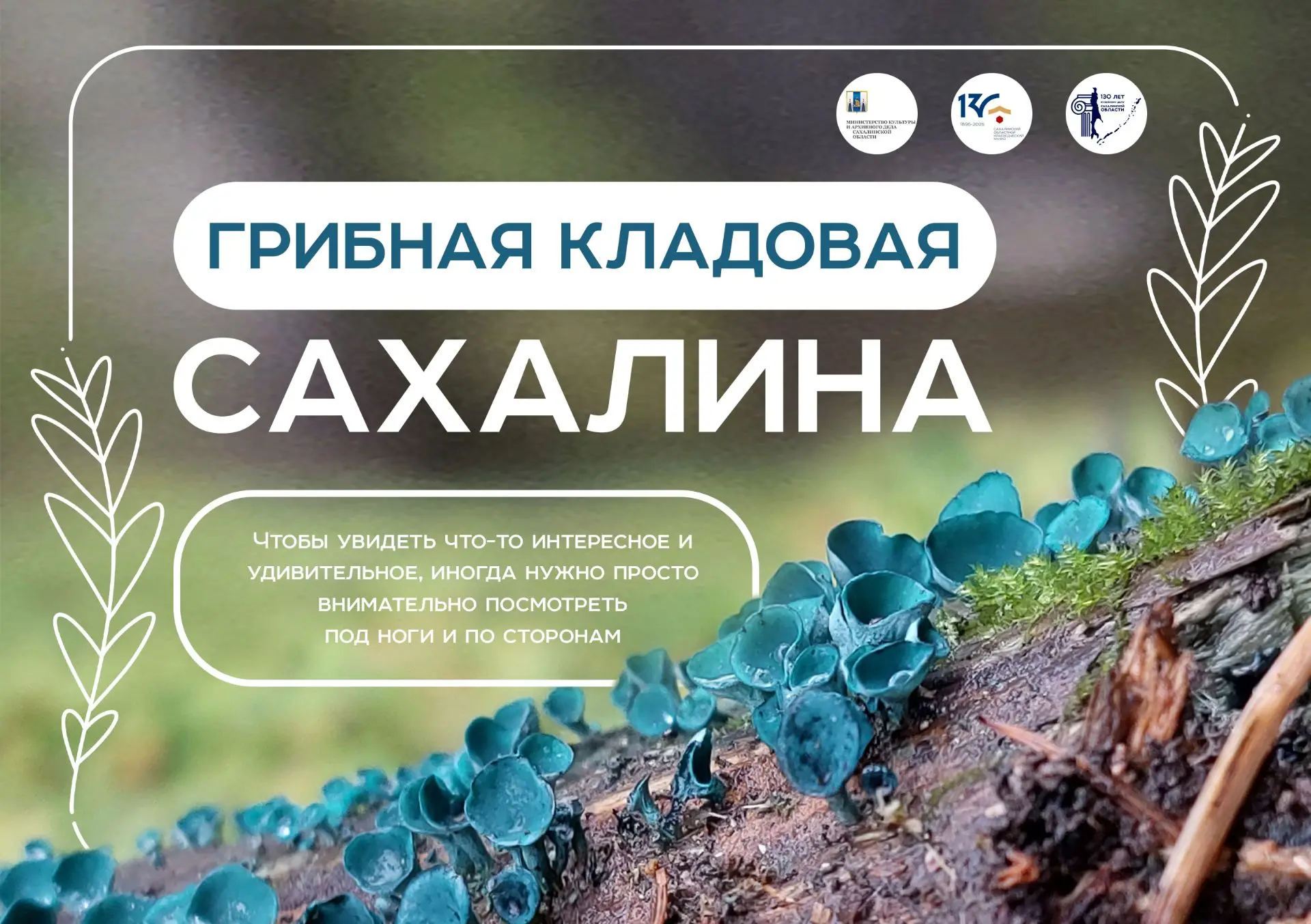 «Грибная кладовая Сахалина». Уникальная фотовыставка открывается в краеведческом музее