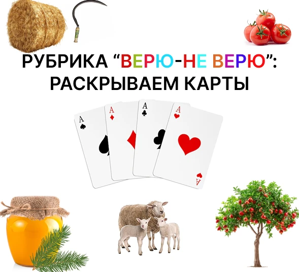 ⚡️"Верю или не верю?" — викторина завершена! 💥