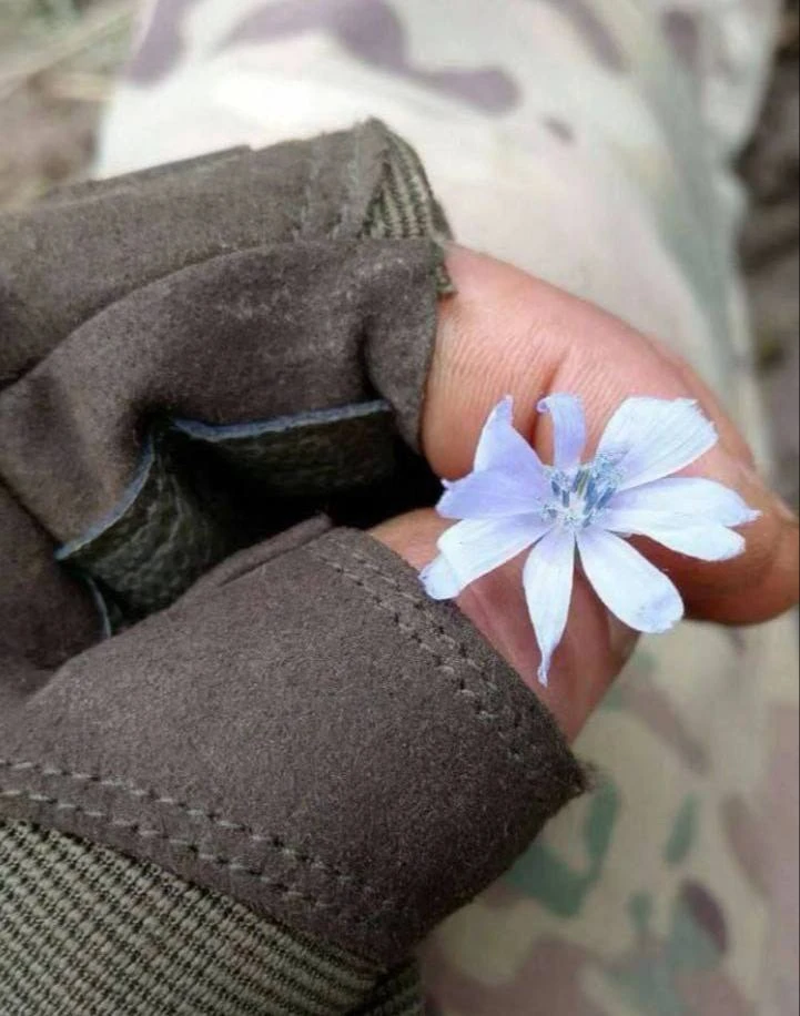 Даже самые незначительные добрые поступки способны изменить многое.
