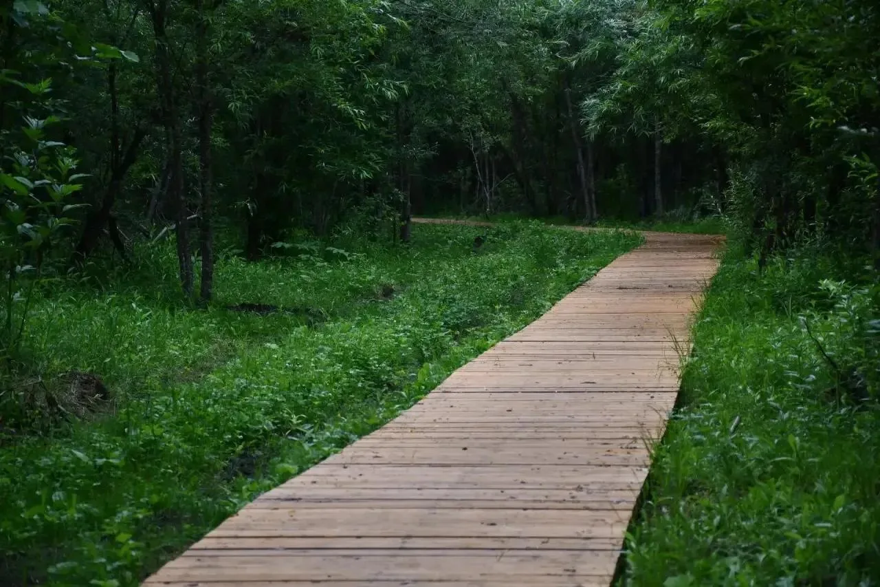 🏞️ Экологические тропы раскинулись в зеленой зоне поронайских рефулеров

Уже готово более 900 метро
