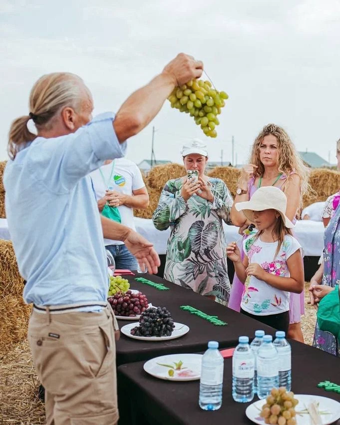 Реклама по любви!  Сегодня поговорим про виноград🍇  Сейчас самое время начать выбирать  посадочный м
