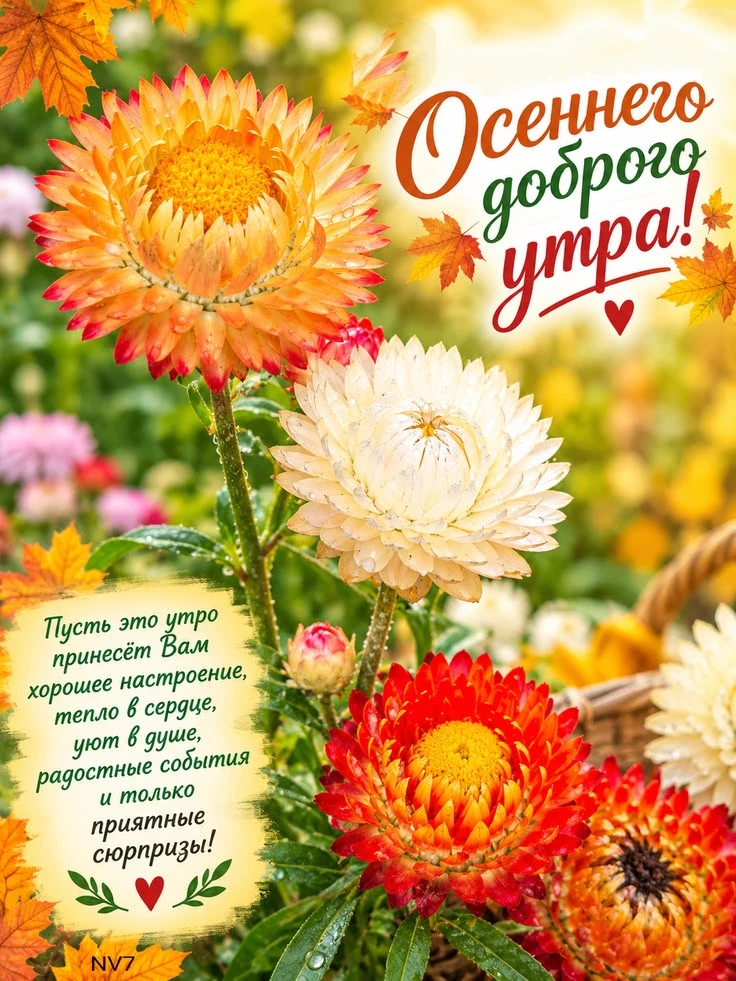 🌞🎉 Чудесного утра! Везения и хорошего настроения!