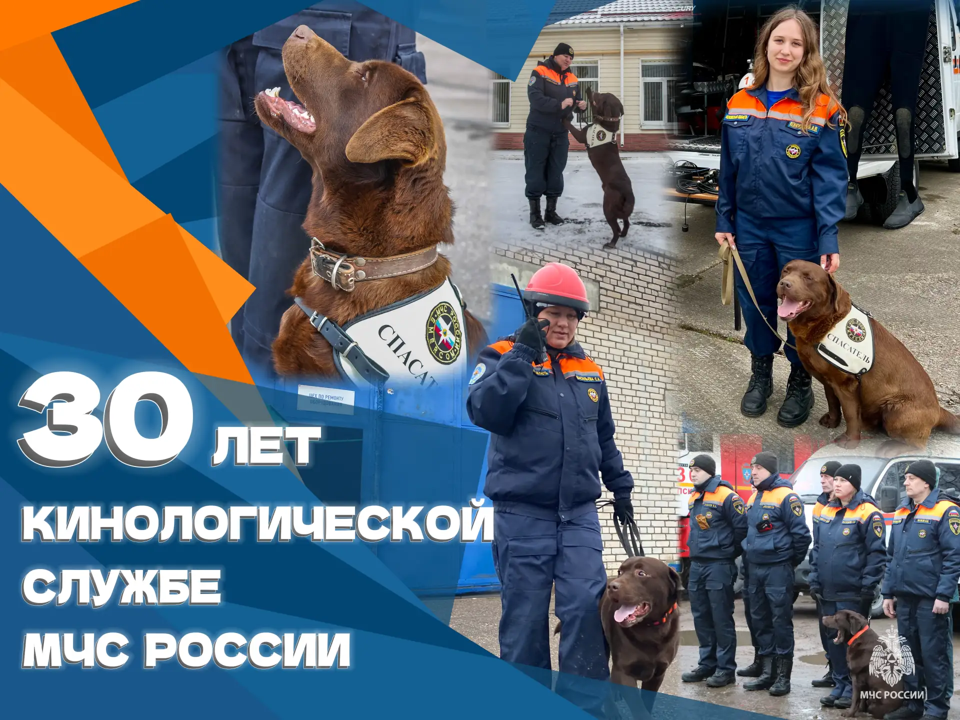 🎉30 лет со дня основания кинологической службы МЧС России

📅Сегодня, 20 июня, кинологическая служб