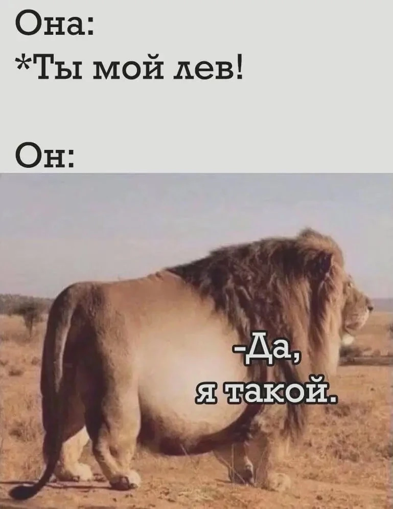 Юмор в открытках