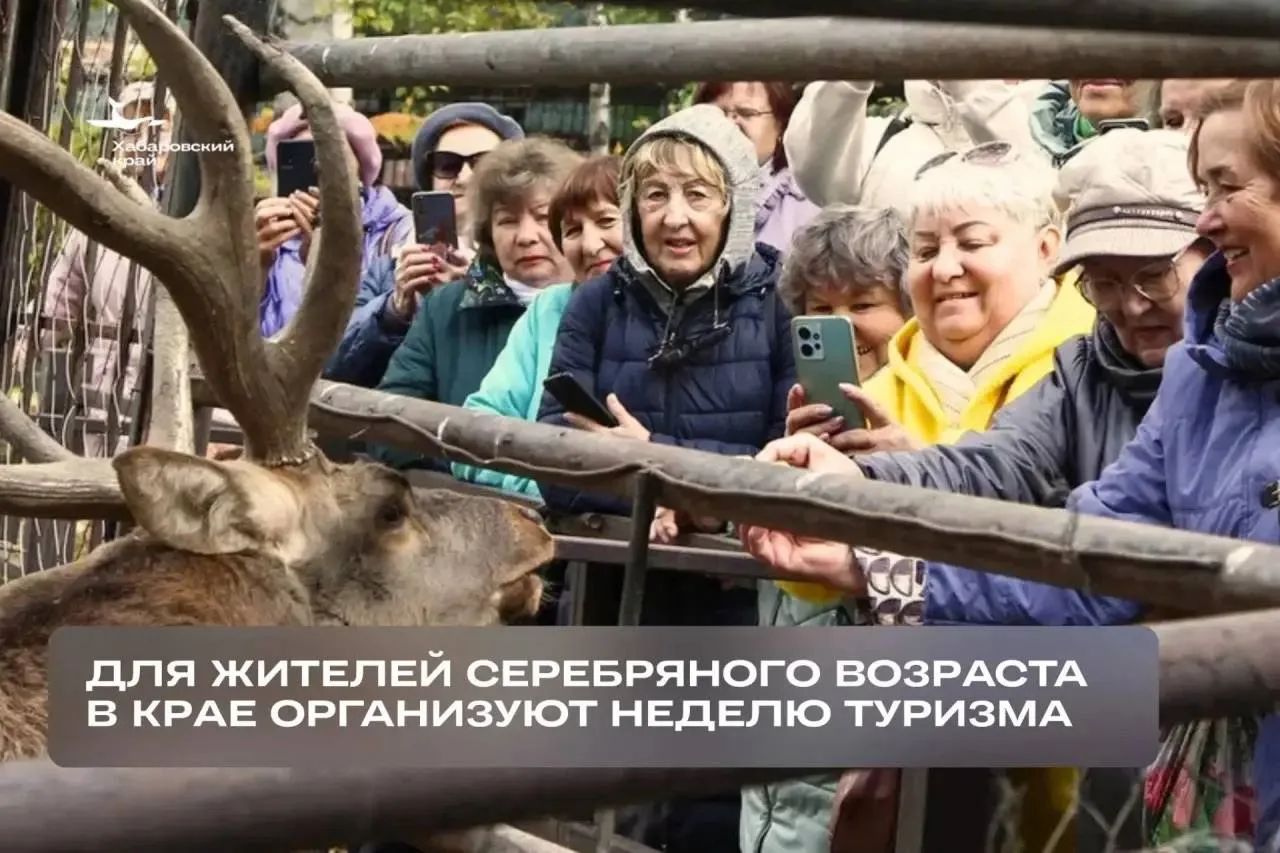 Неделя туризма для жителей старшего поколения  🧳