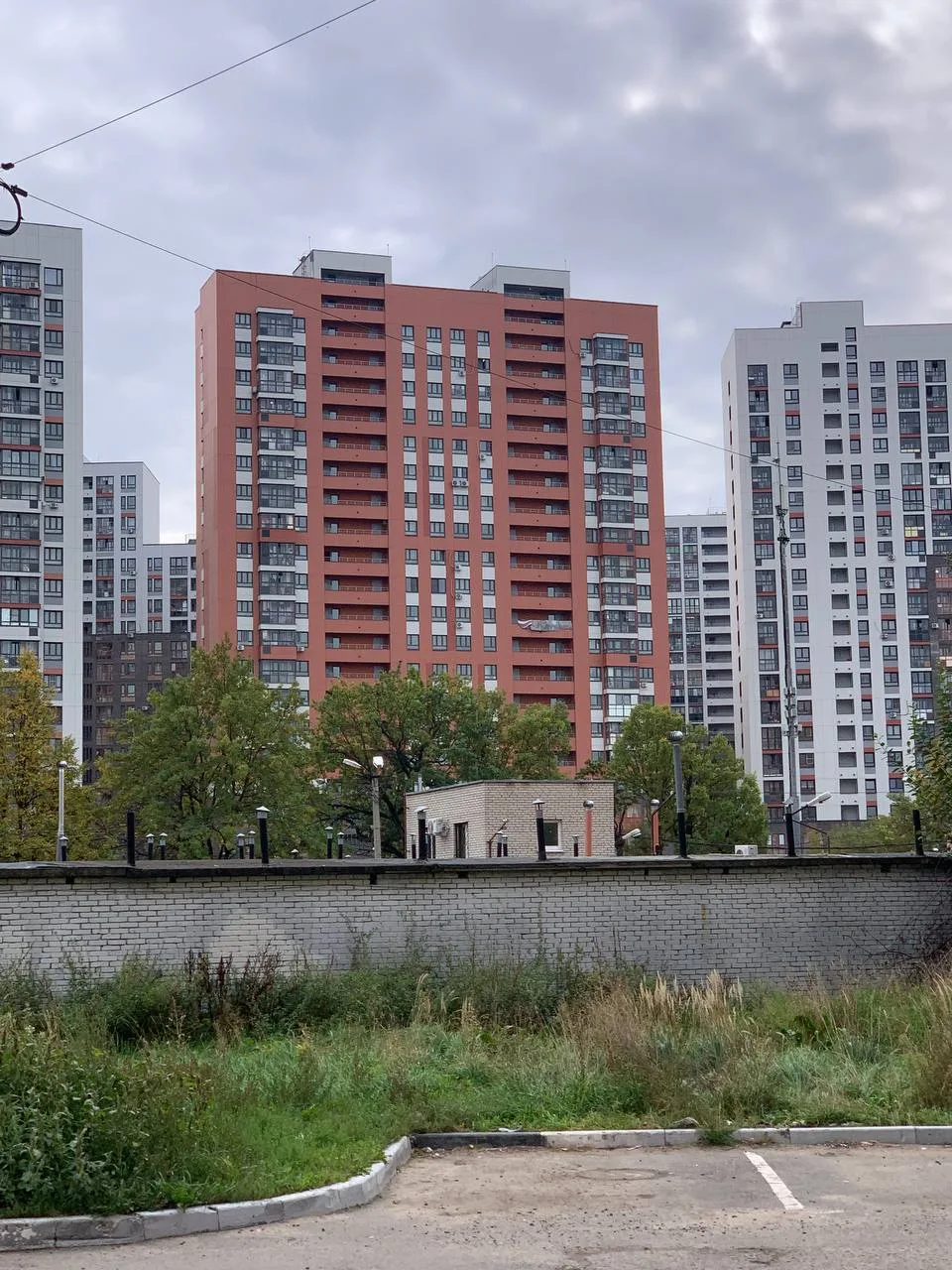 Доброе утро, соседи!