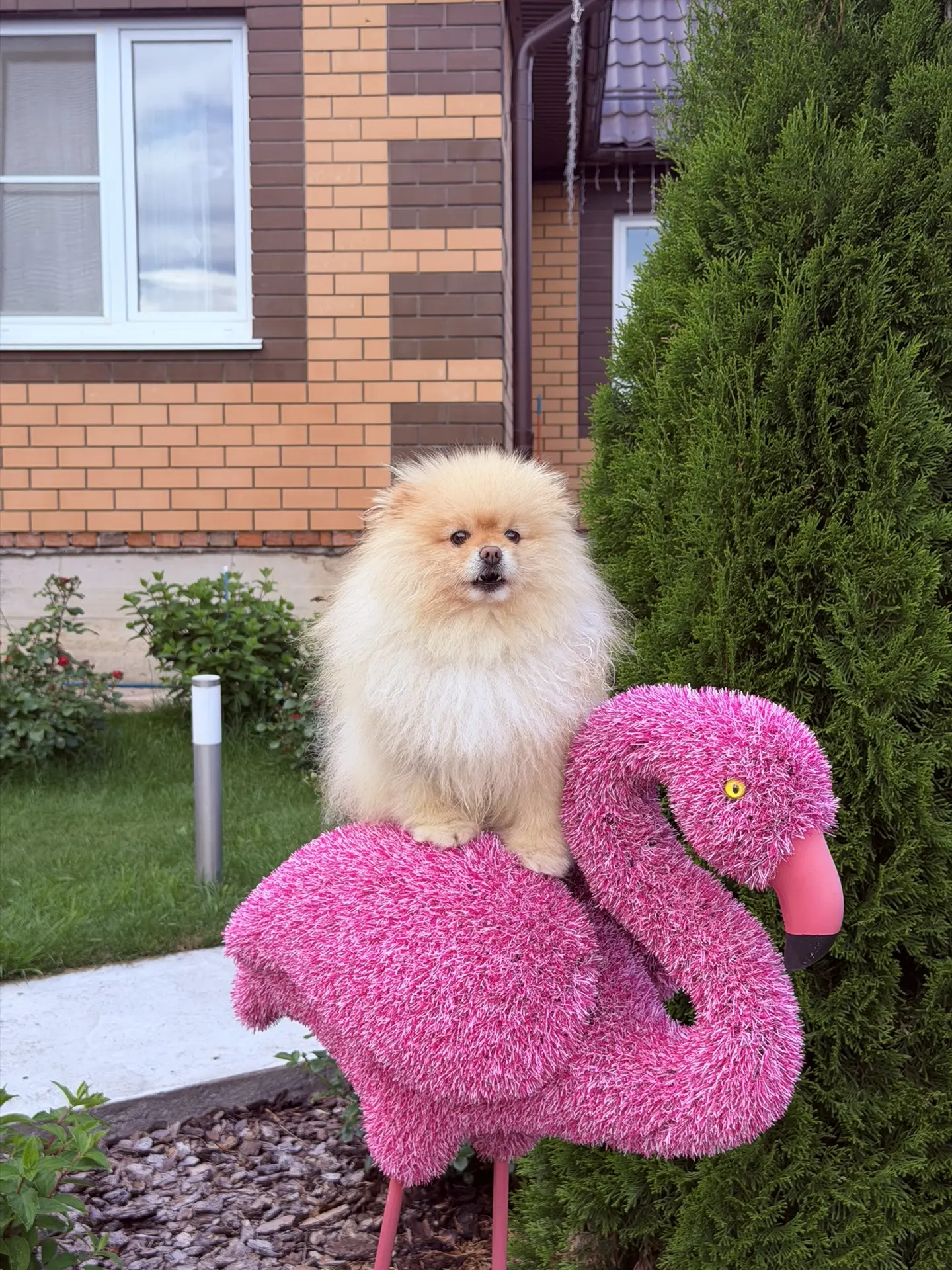 Всем, добрый вечер ❤️