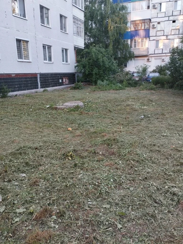 16.06.2026 Плановый покос травы по адресу: ул.Черняховского, д.6