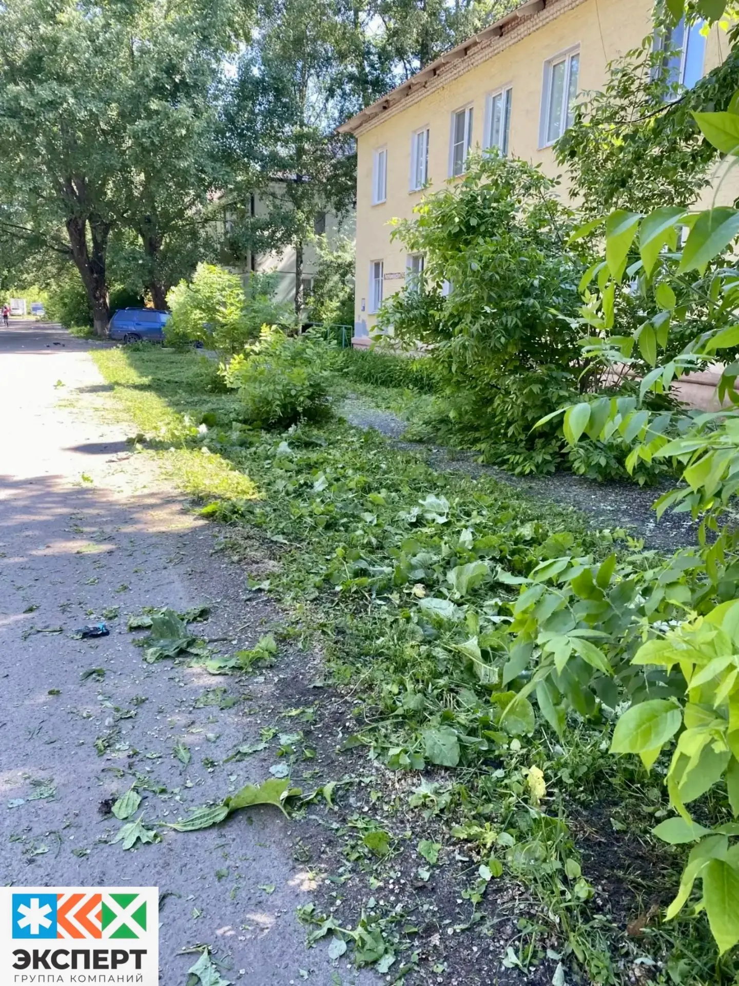 ООО «ГУК N1» и ООО УК «Развитие» продолжают покос сорной растительности, по адресам: