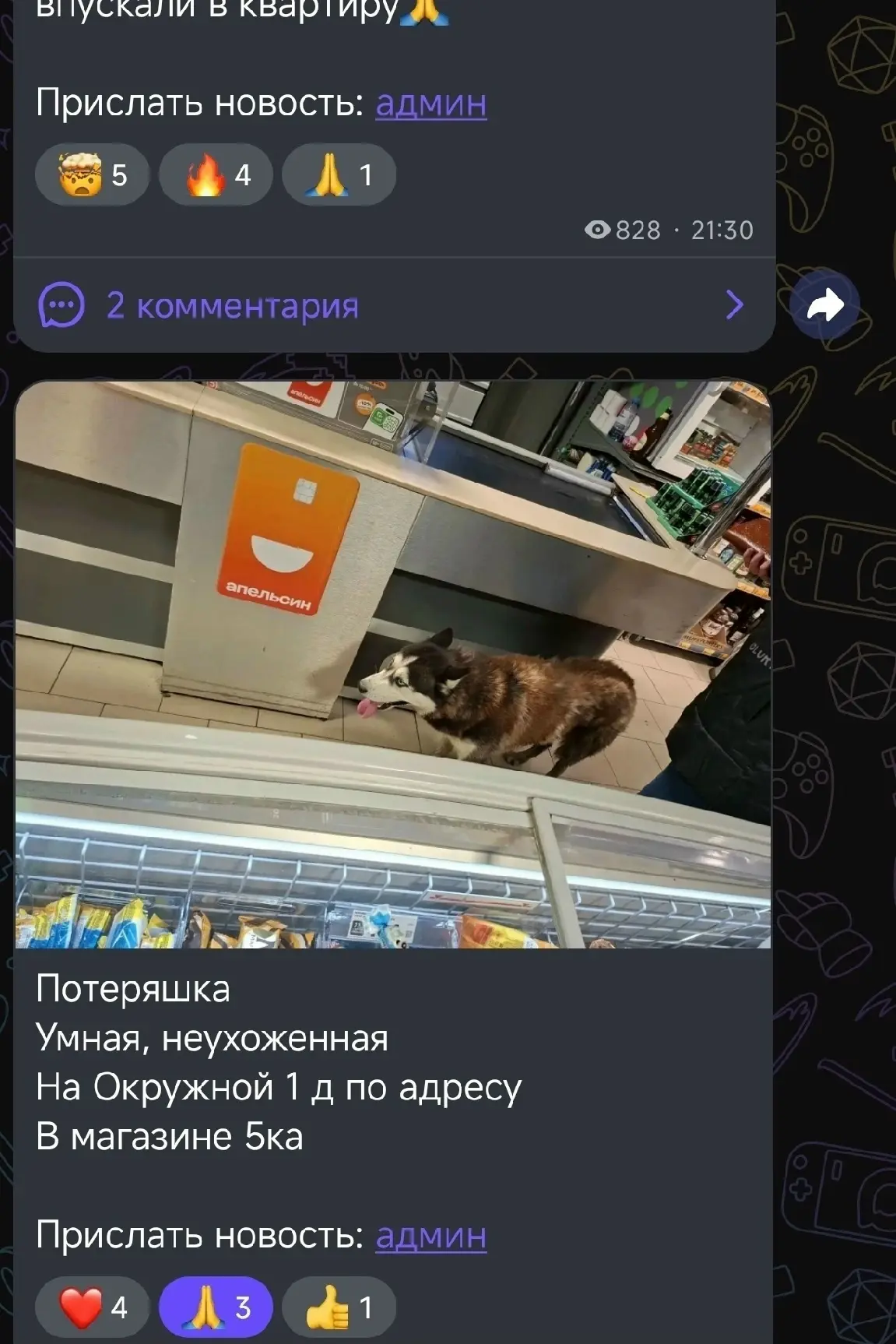 Замечена собака, хаски (Екатеринбург, Вторчермет)