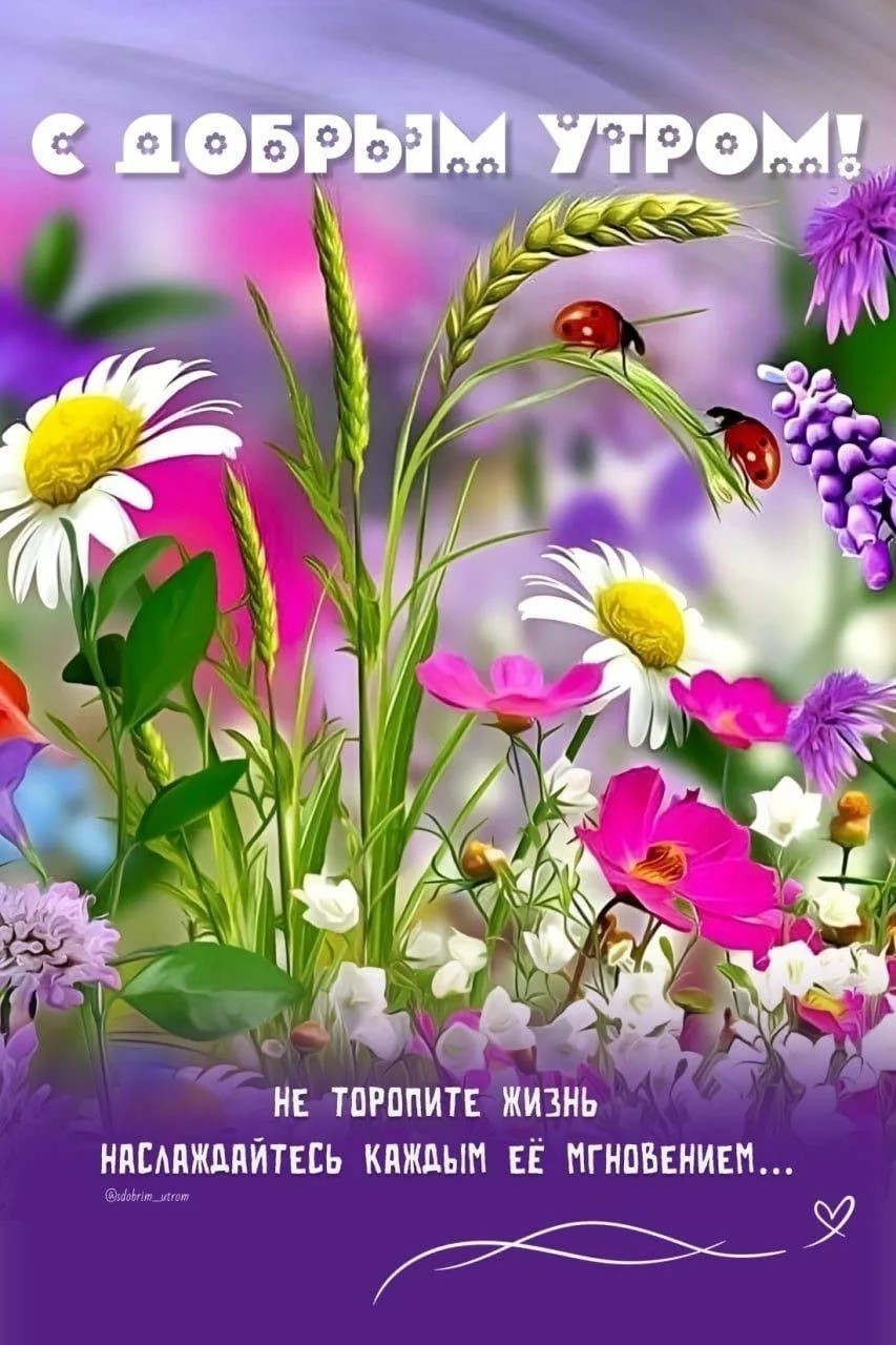 🌷 Открытки подписаться 👈