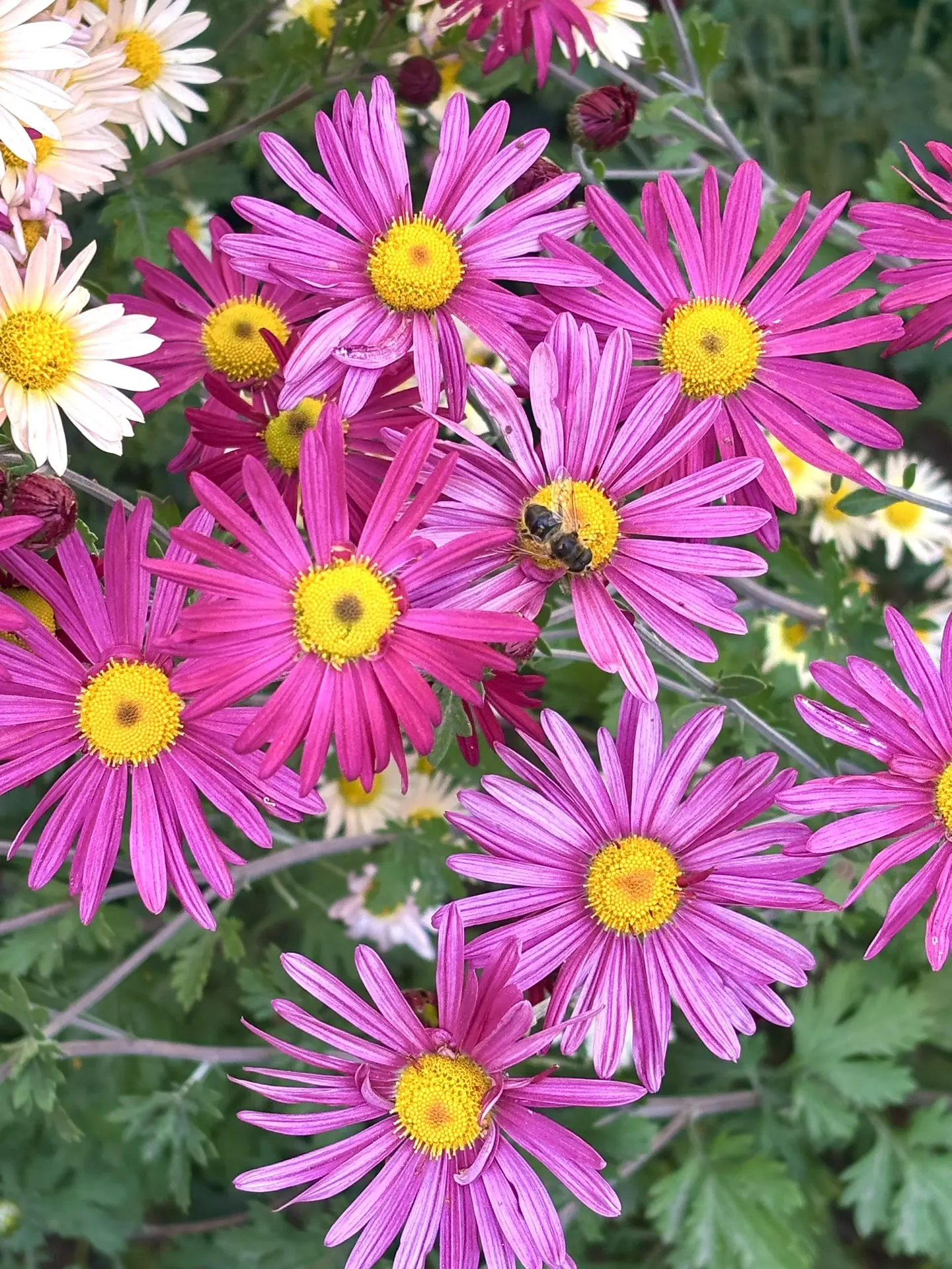 Доброе утро, дрожжановцы! 🌸