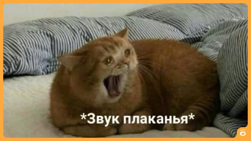 Изображение 1 к публикации «Поиск | E1.RU | Работа Екатеринбург»