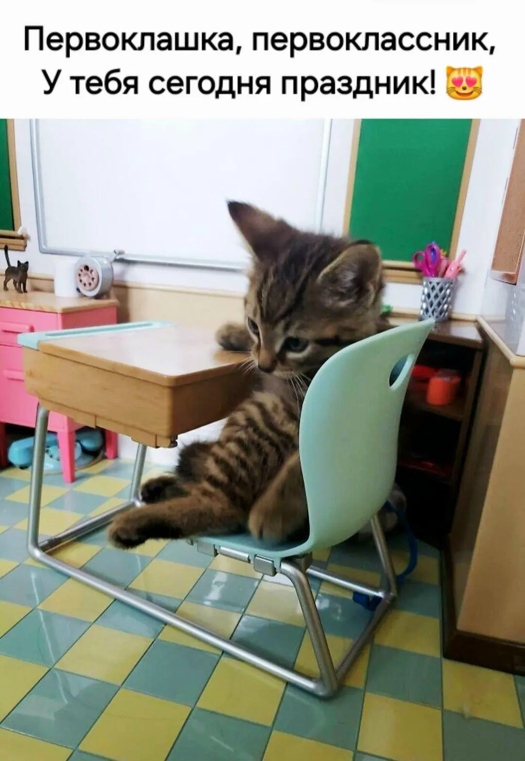 Добрый Мурзик 😻