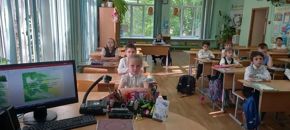 ✅ Региональные и федеральные проекты