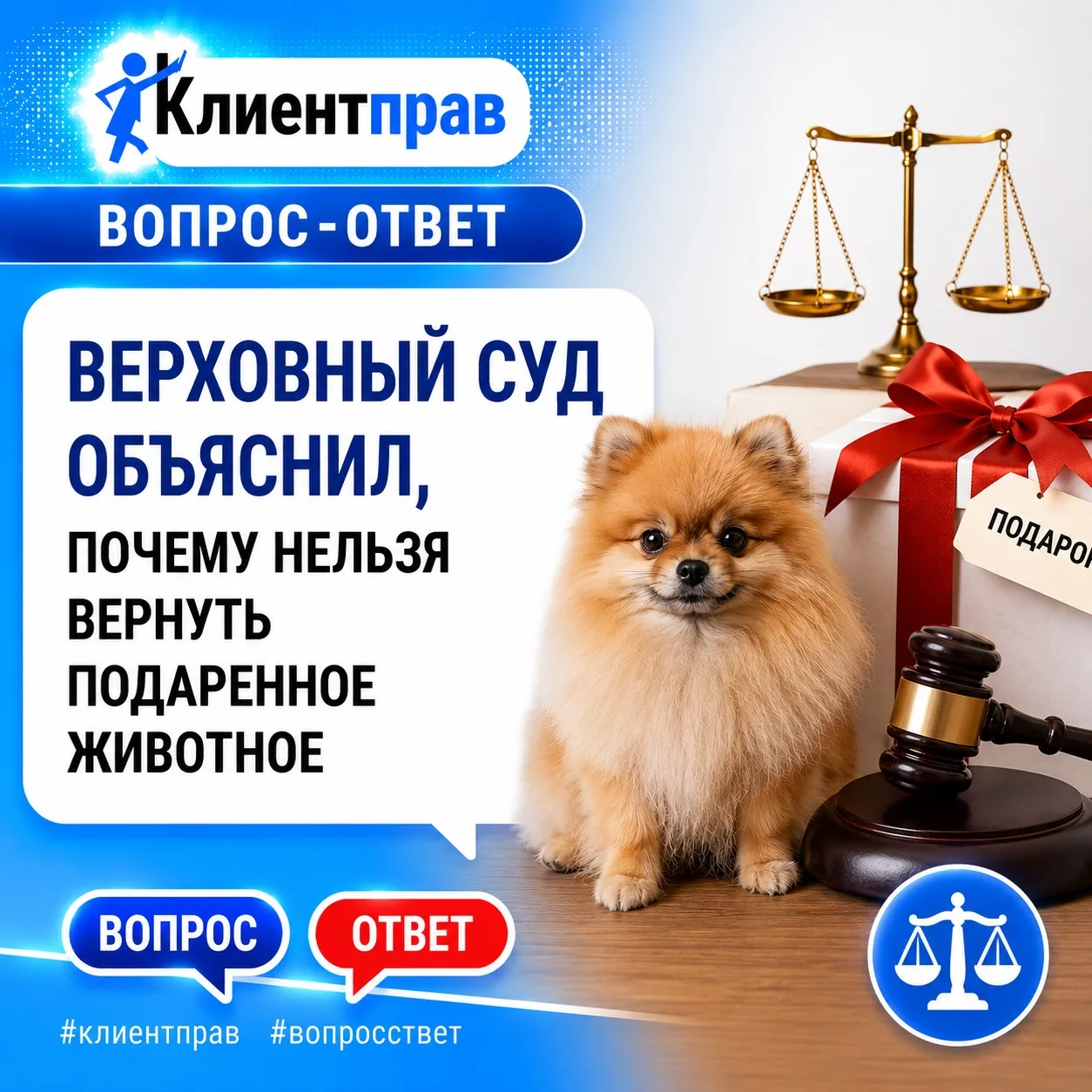 ❓Я подарила щенка, но новая хозяйка плохо за ним ухаживает. Могу ли я забрать собаку обратно?

⚖️ От