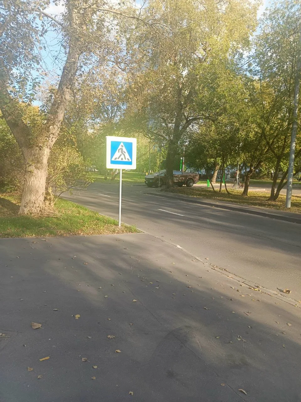 Неожиданная встреча произошла у соседа.