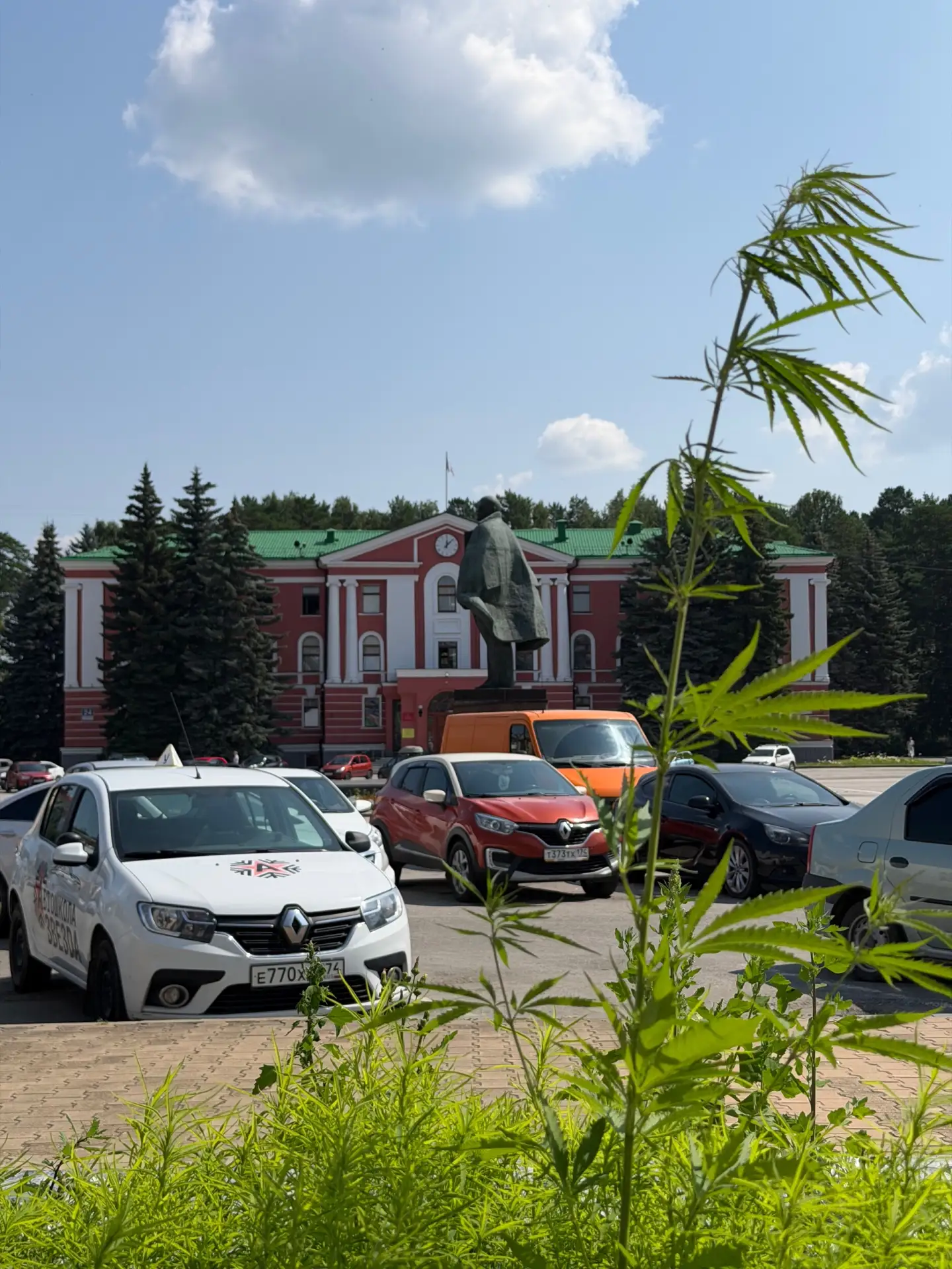 Что за цветок, кто в курсе?