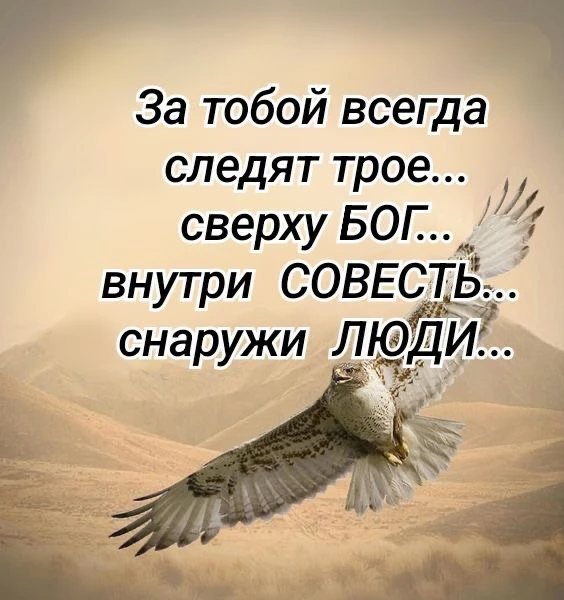 Цитата дня