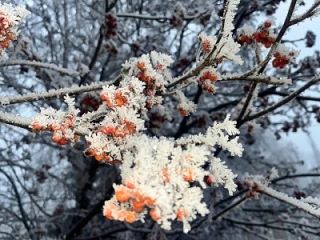 В Башкирии на выходных ожидаются дожди и мокрый снег