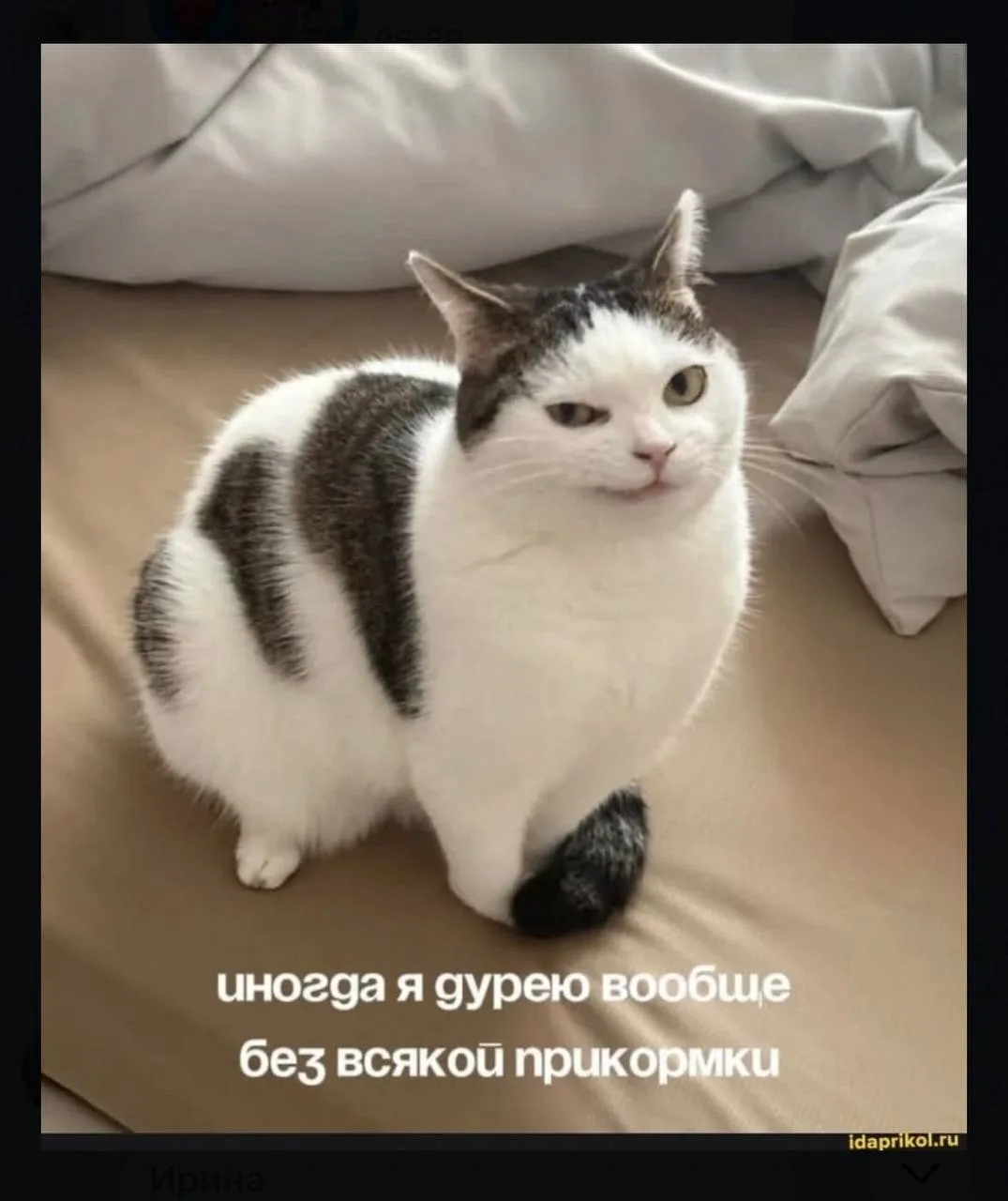 Вы готовы, клининг-бичес? Время стирать усталость понедельниковую. Щетки под стол, мемы...