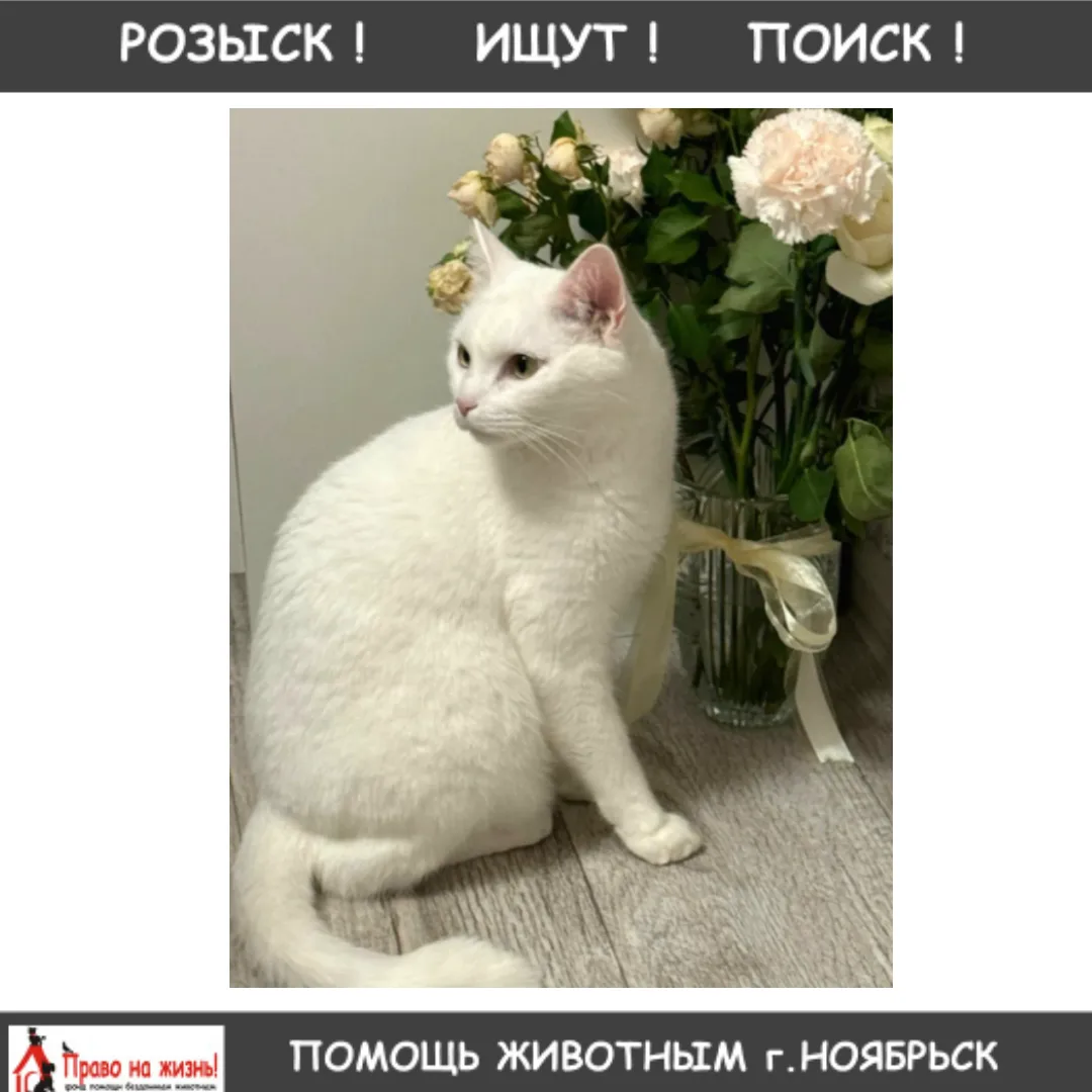 !!!РОЗЫСК!!!