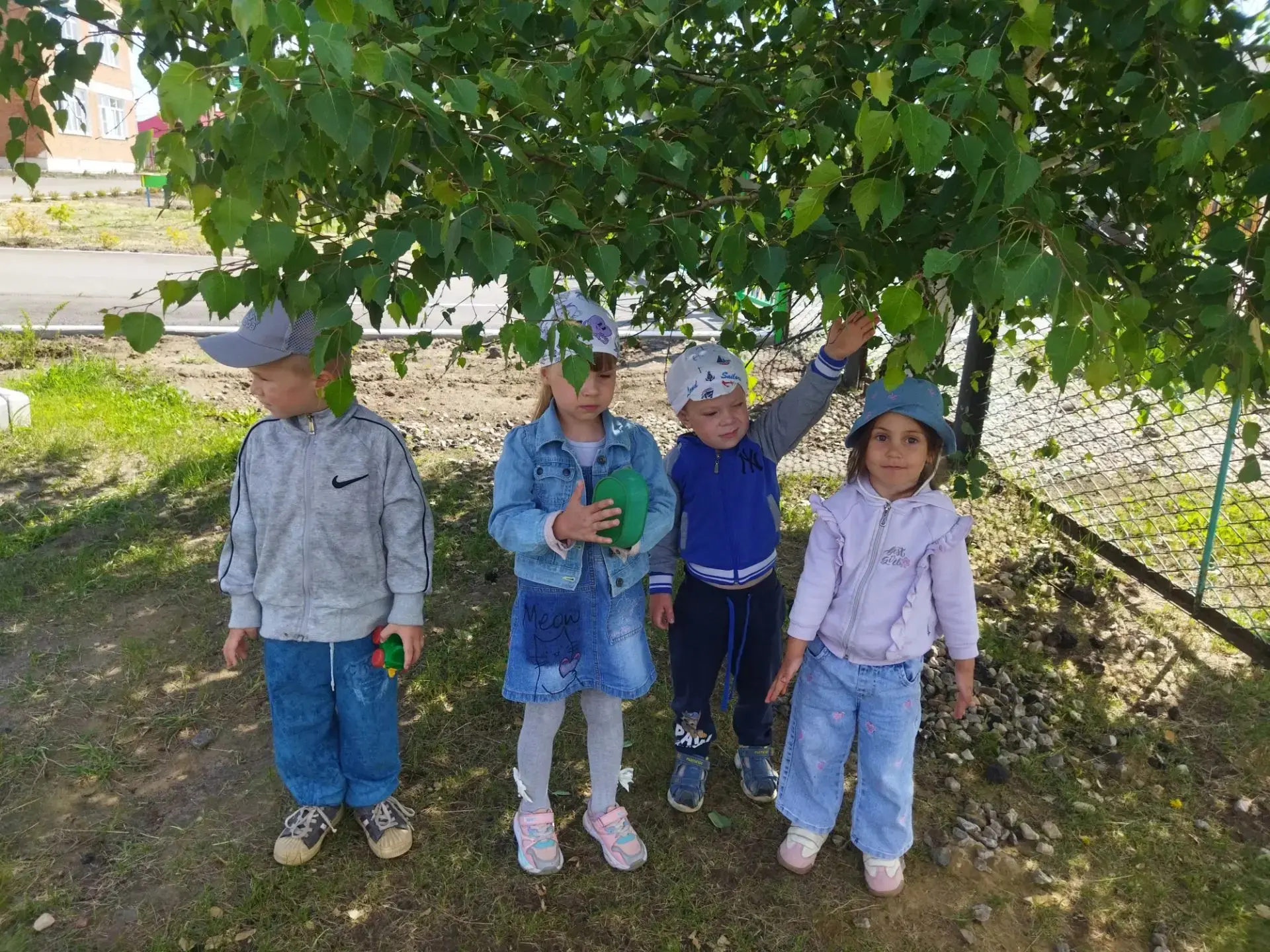 На прогулке в группе "Вишенка" ребята наблюдали за деревьями и кустарниками. Дети осмотрели их, опре