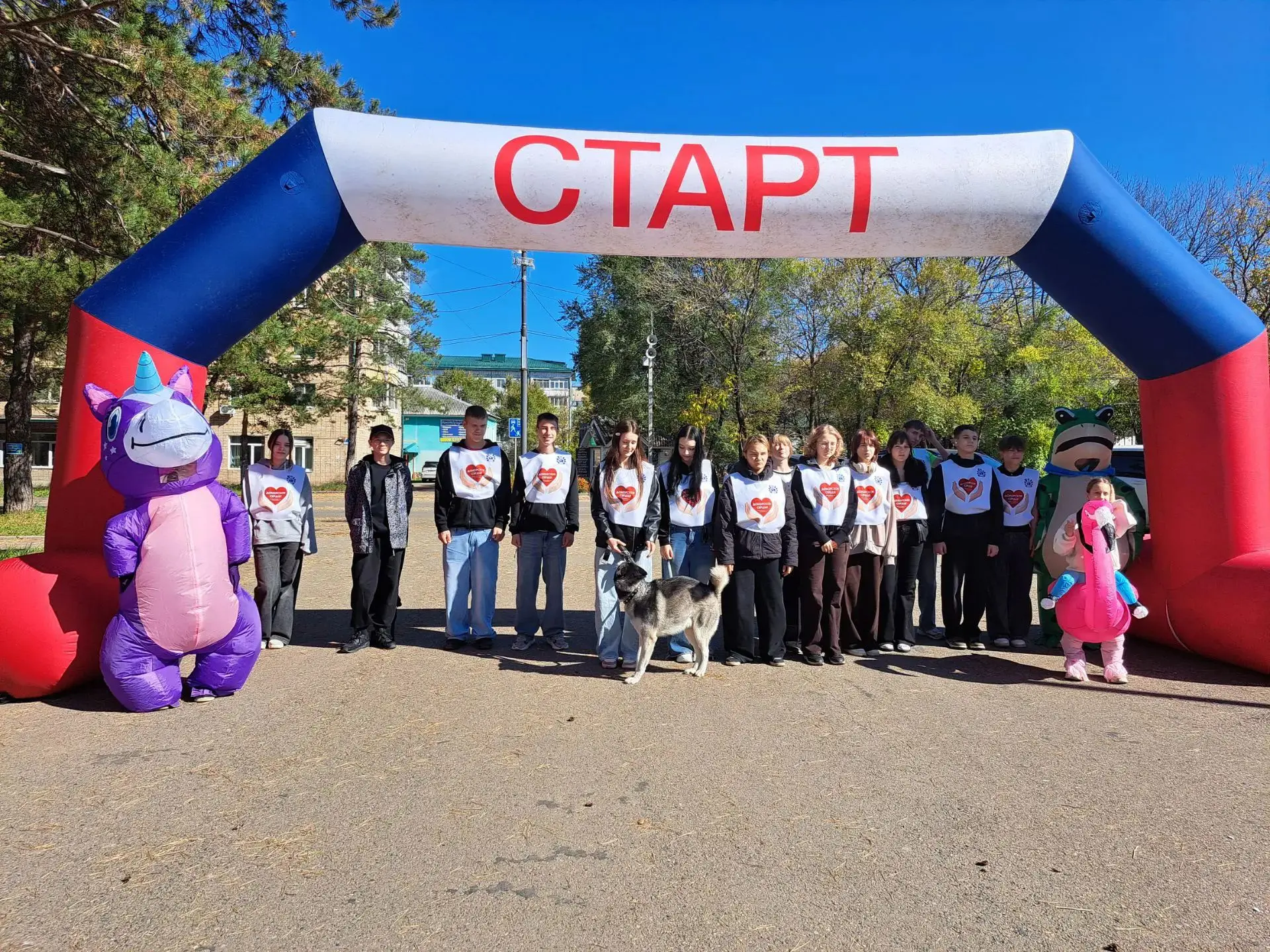 🏃Арсеньев шагает к здоровью: как прошла акция «10 000 шагов к жизни»
