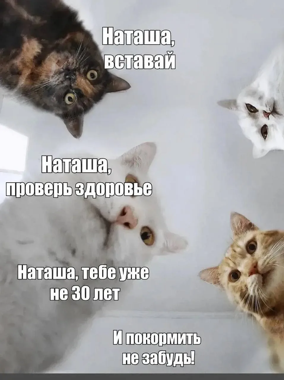 Пока все на даче — проверьте себя 🌿