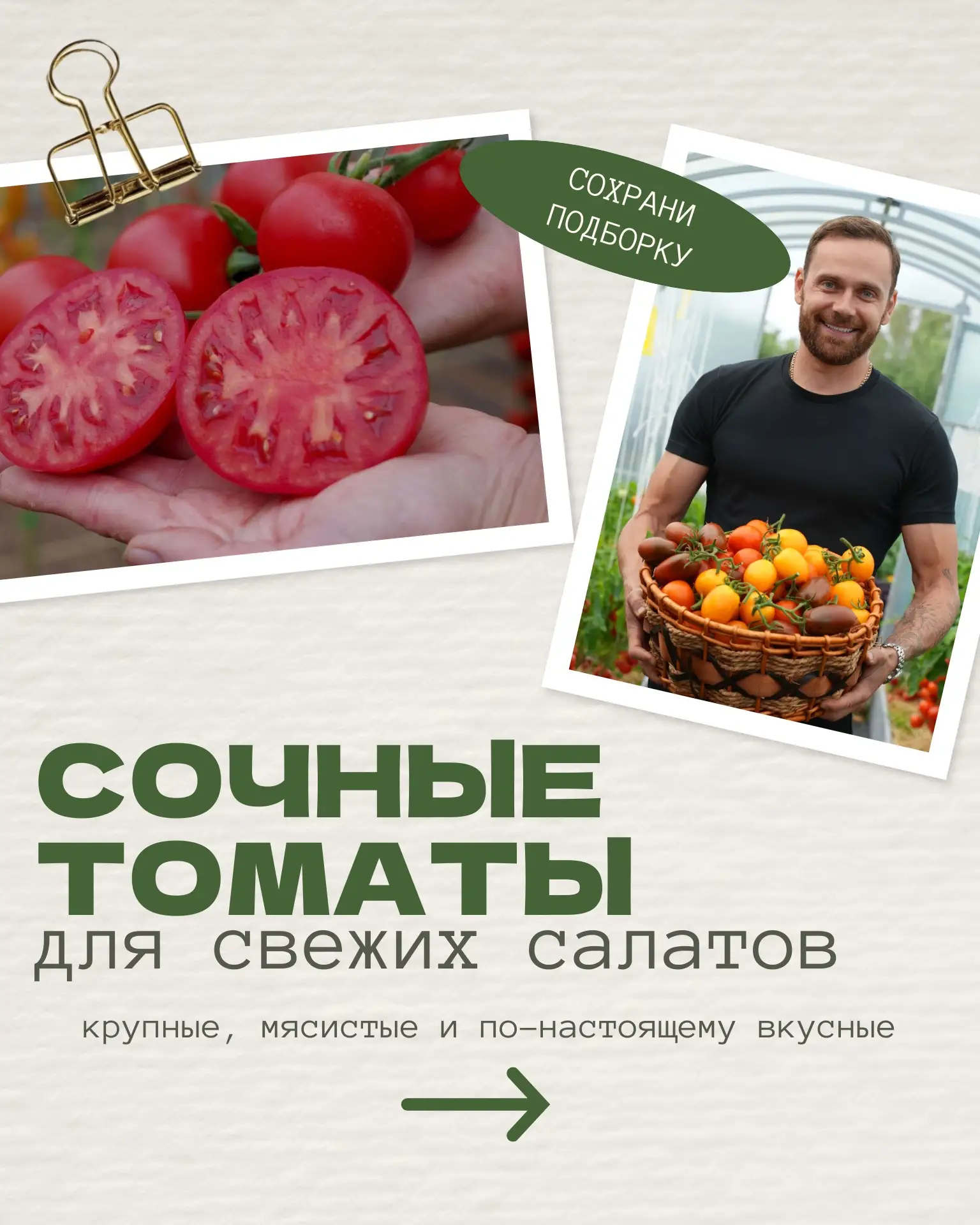 🍅 СОЧНЫЕ, МЯСИСТЫЕ, АРОМАТНЫЕ: ТОМАТЫ ДЛЯ ЛЕТНЕГО СТОЛА!
