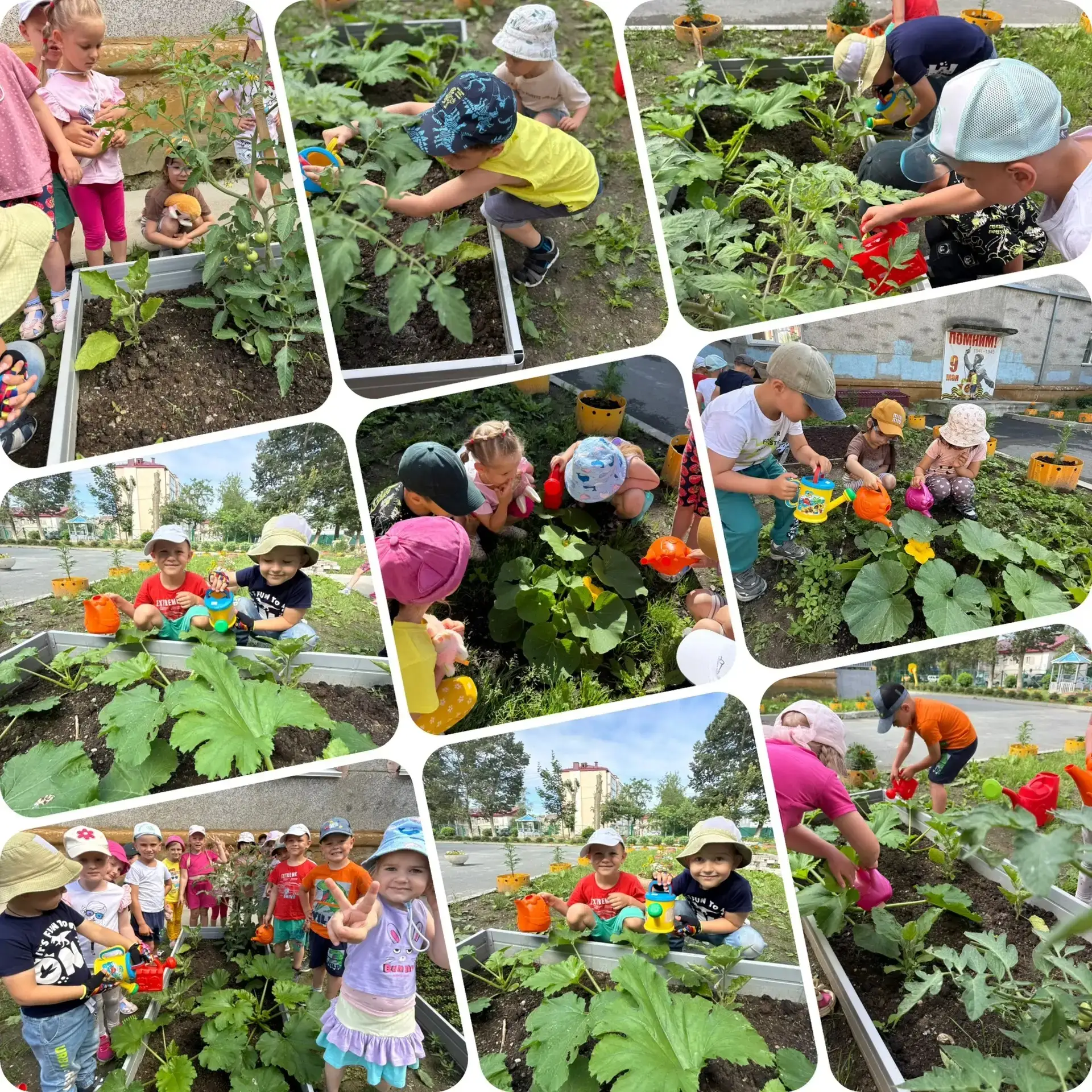 🌱 Урожайная грядка в «Подсолнушках»! 🚜🌻

Наш огород радует глаз 👀😍 – помидоры 🍅, баклажаны 🍆,