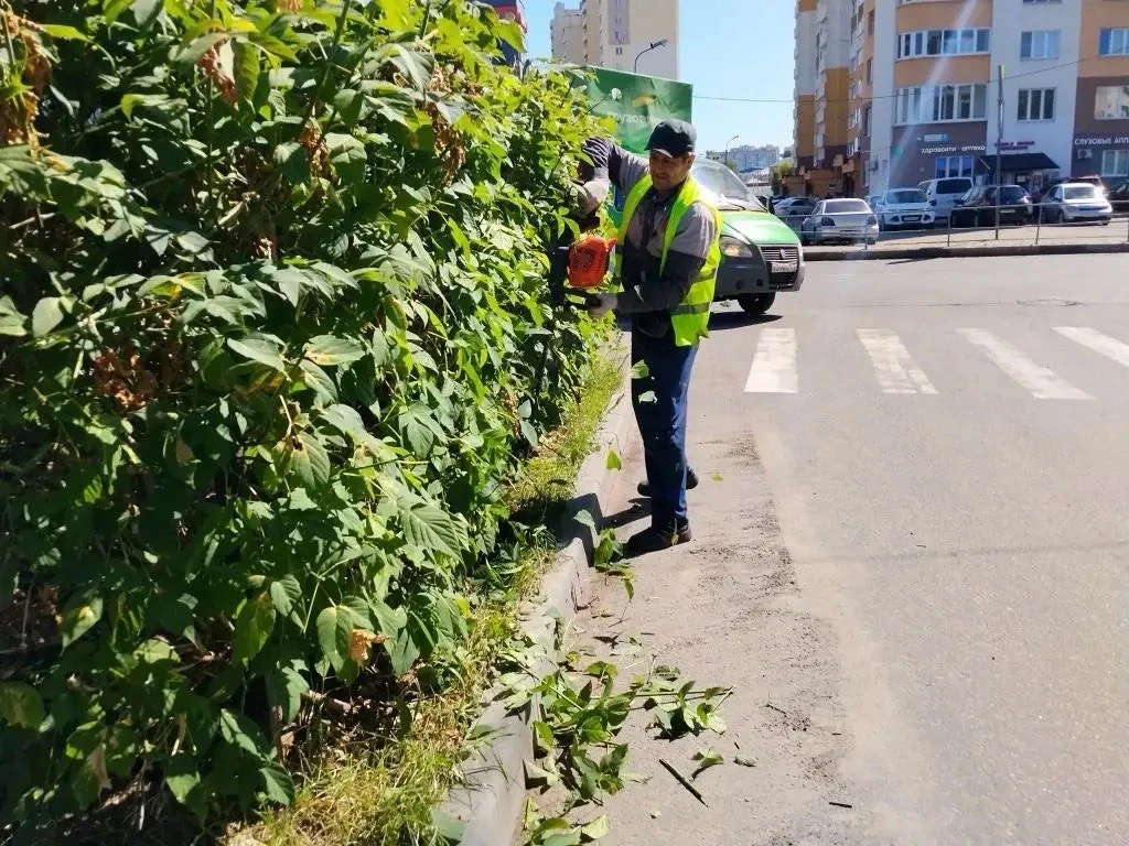 Друзья, всем отличных выходных!