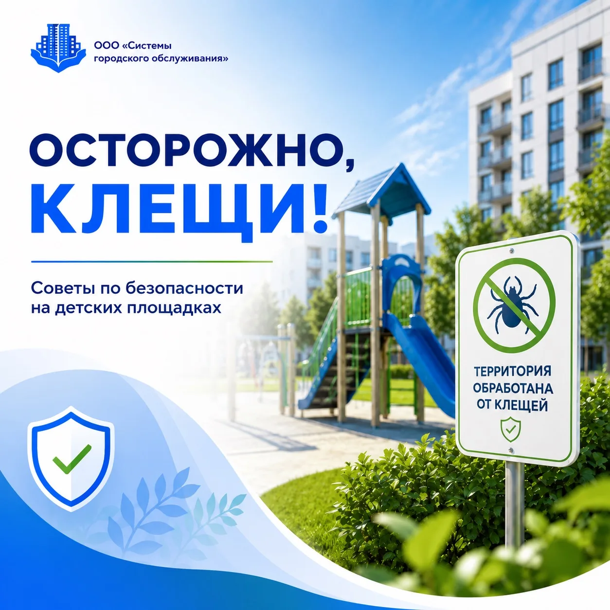 🕷️ Осторожно, клещи! Как сделать прогулки безопаснее