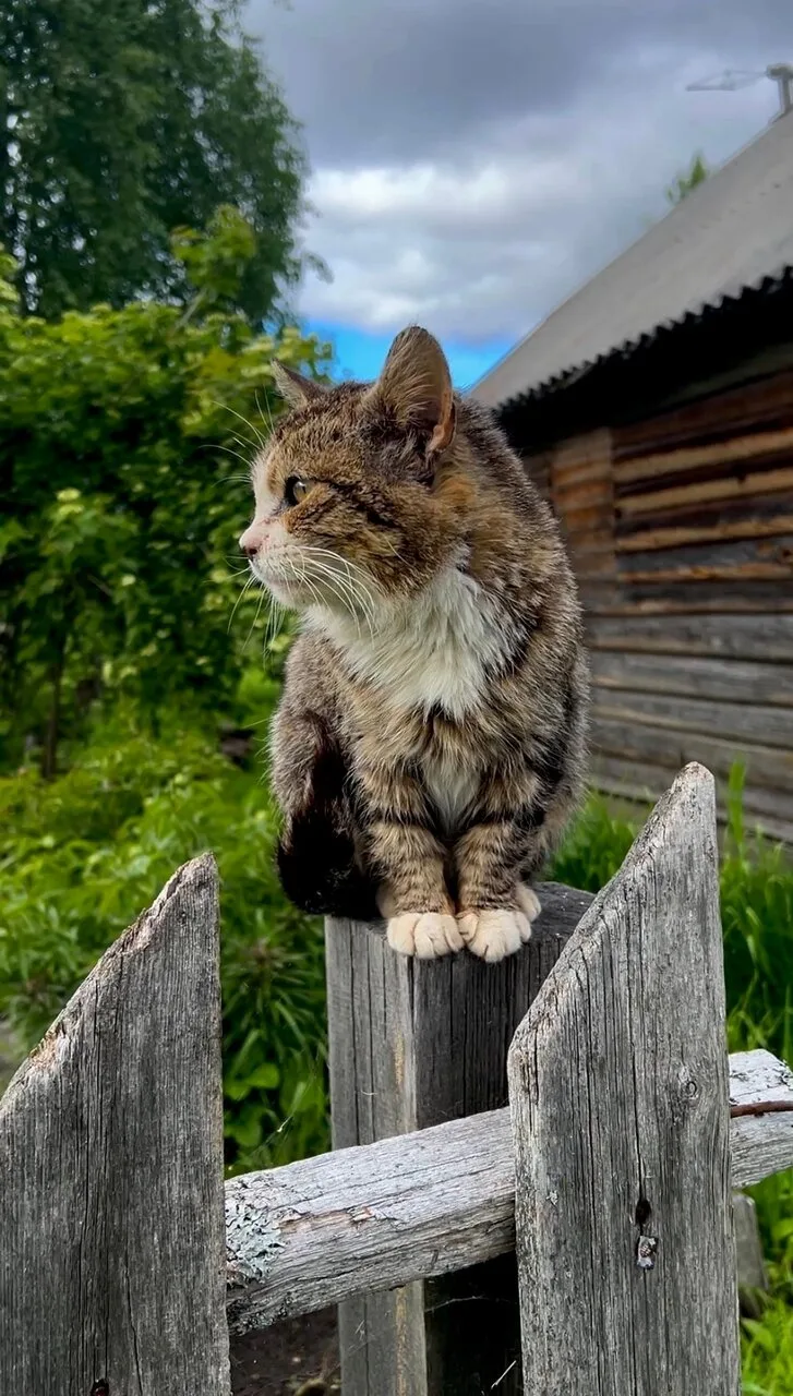 С добрым утром, Котлас!