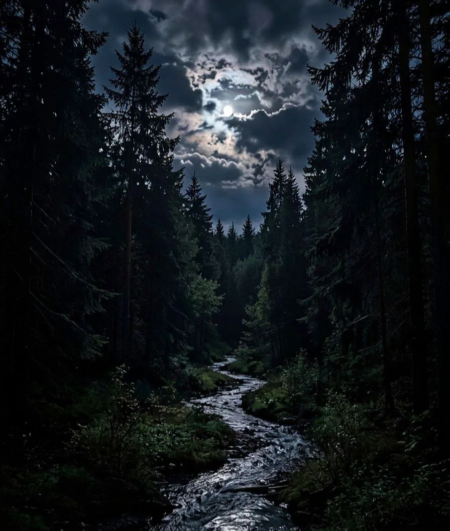 Доброй🌛