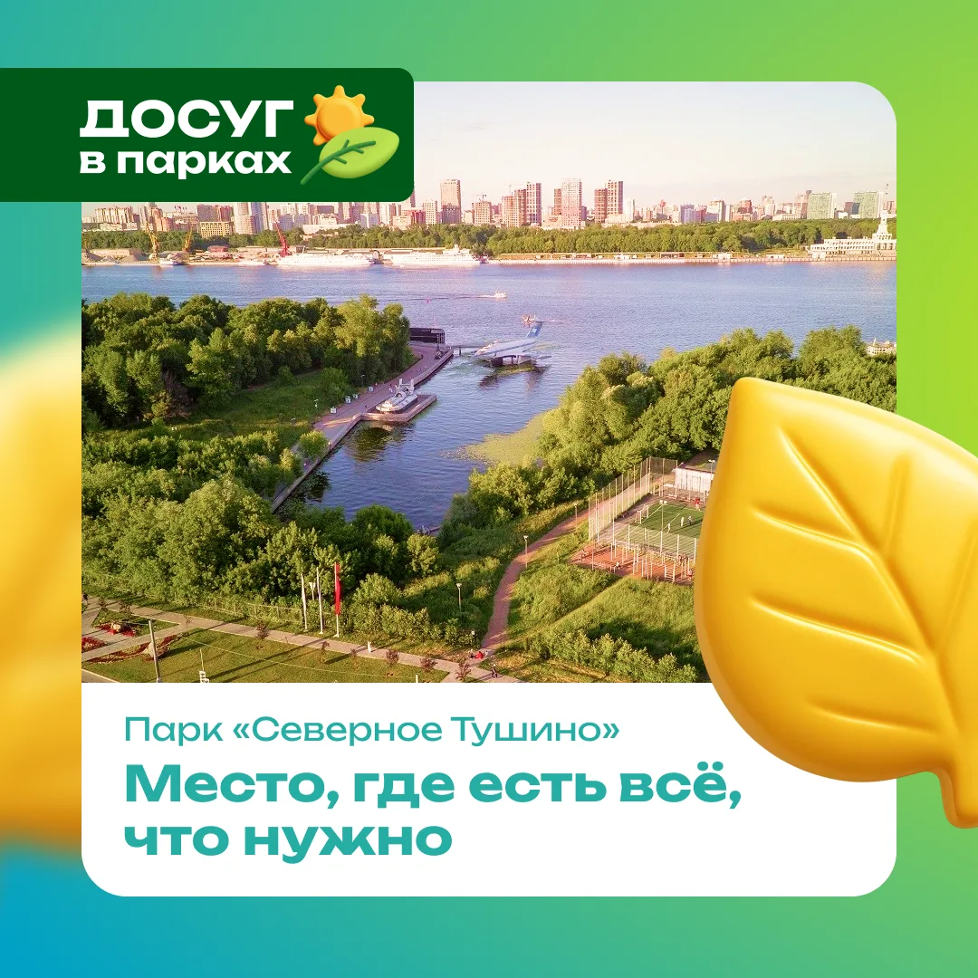 Увидеть корабли на набережной, собрать красивый букет из осенних листьев, полюбоваться ...