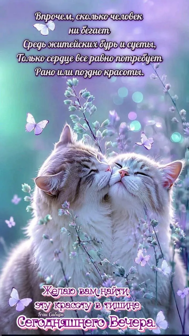 🥰 Оставляйте реакции, если понравилась открытка и делитесь с близкими ❤️

Лучшие Открытки в MAX
