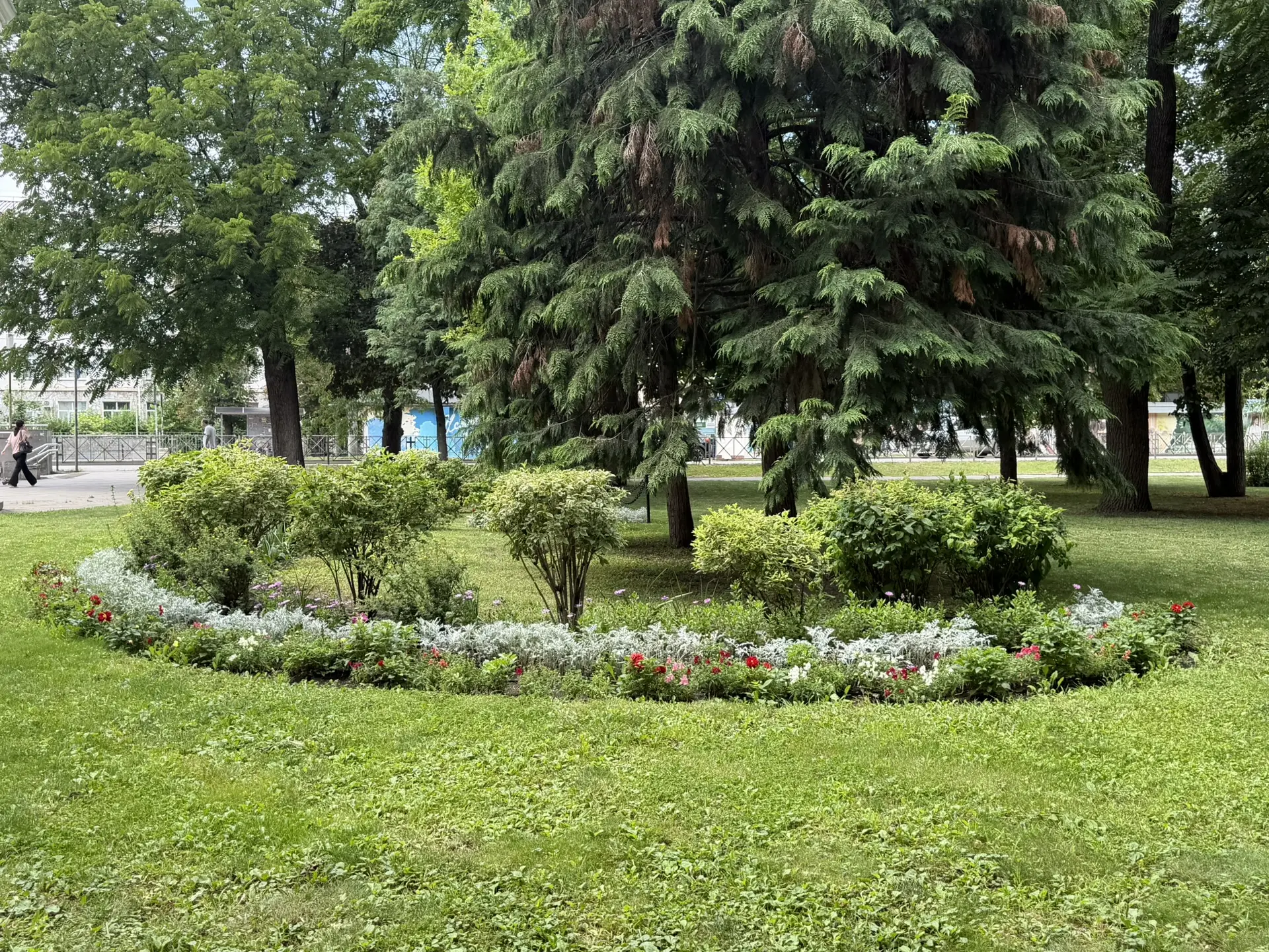 Доброе утро, любимые подписчики!💚