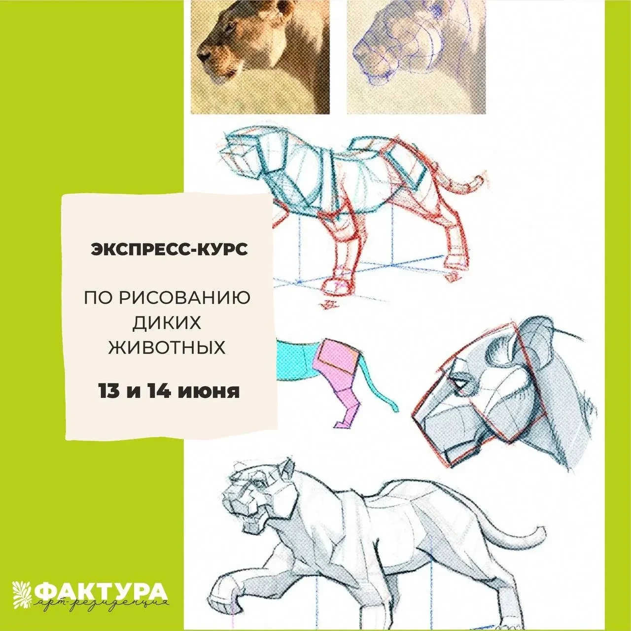 🦌 Двухдневный экспресс-курс по рисованию диких животных в арт-резиденции «Фактура»
Экспресс-курс со