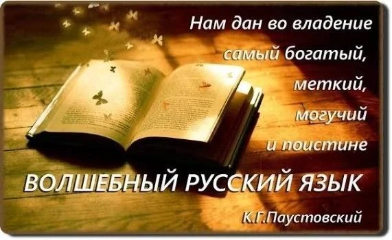 "Грамотность — это модно": в библиотеке колледжа сленг перевели на классический русский...