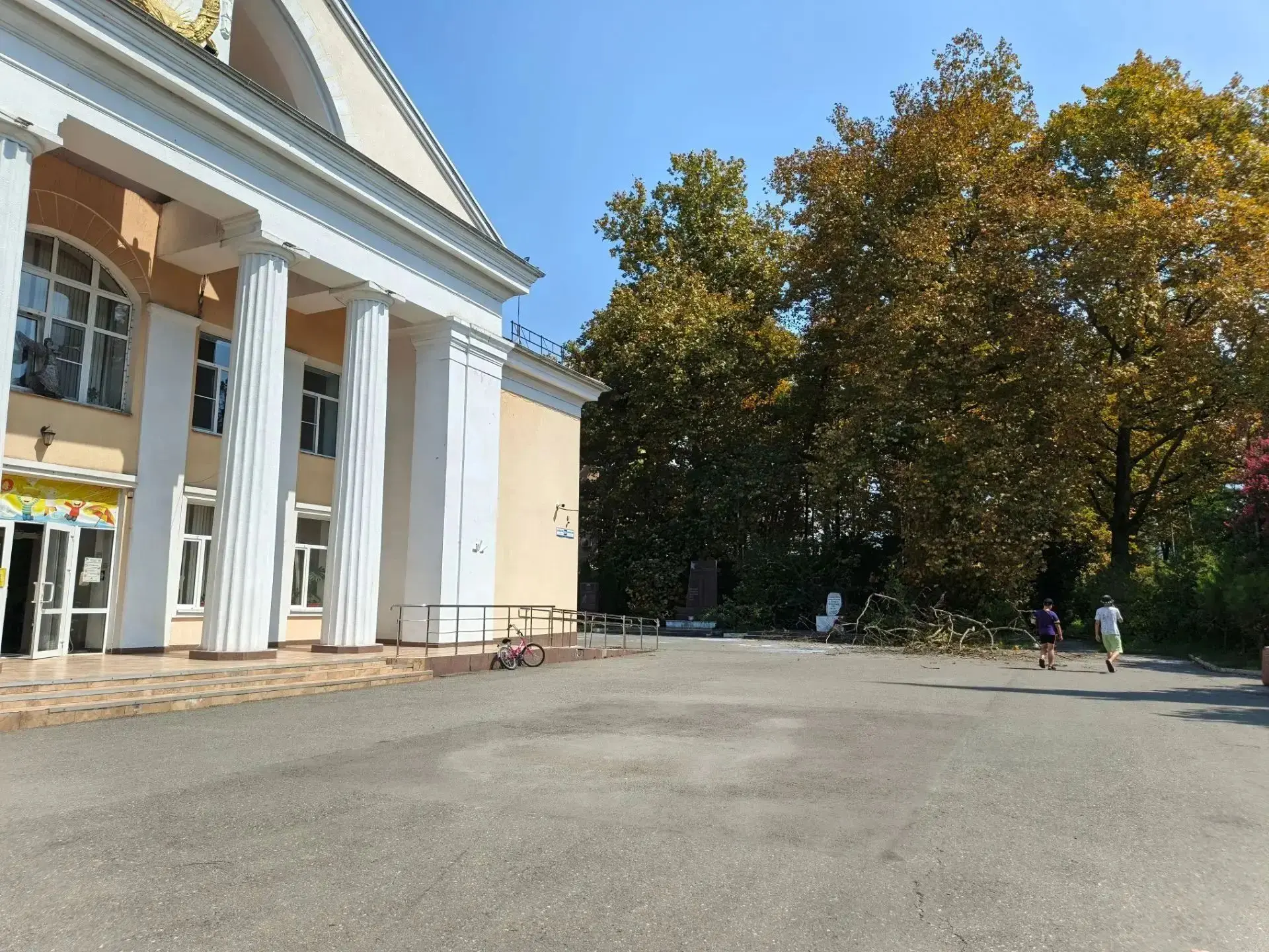 🌳 В Дагомысе на площади у Дома культуры упало дерево