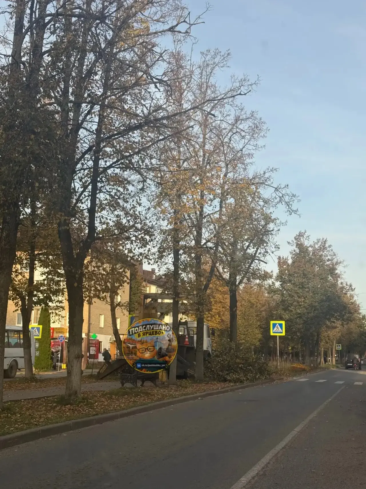 🌳 В Ярцево на улице Советской началась обрезка деревьев