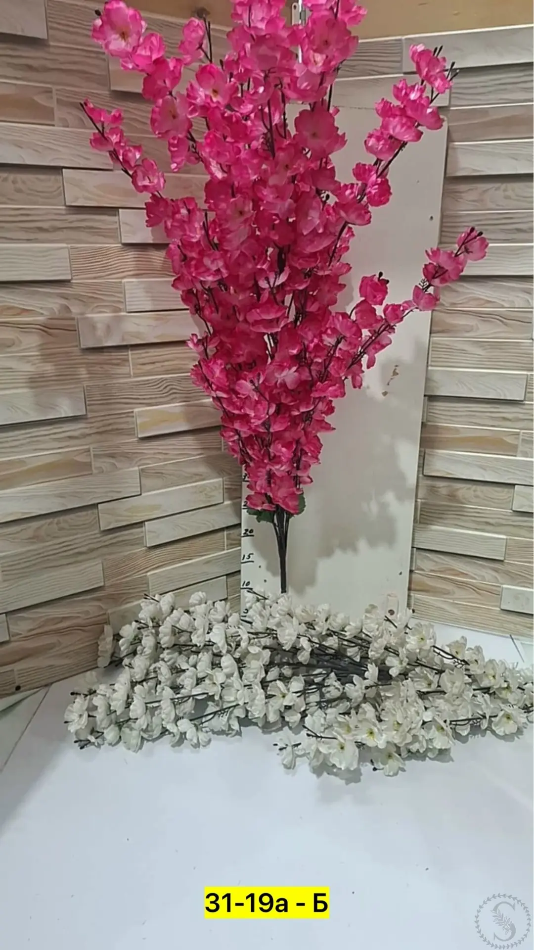 https://vk.com/photo-184814919_493596235