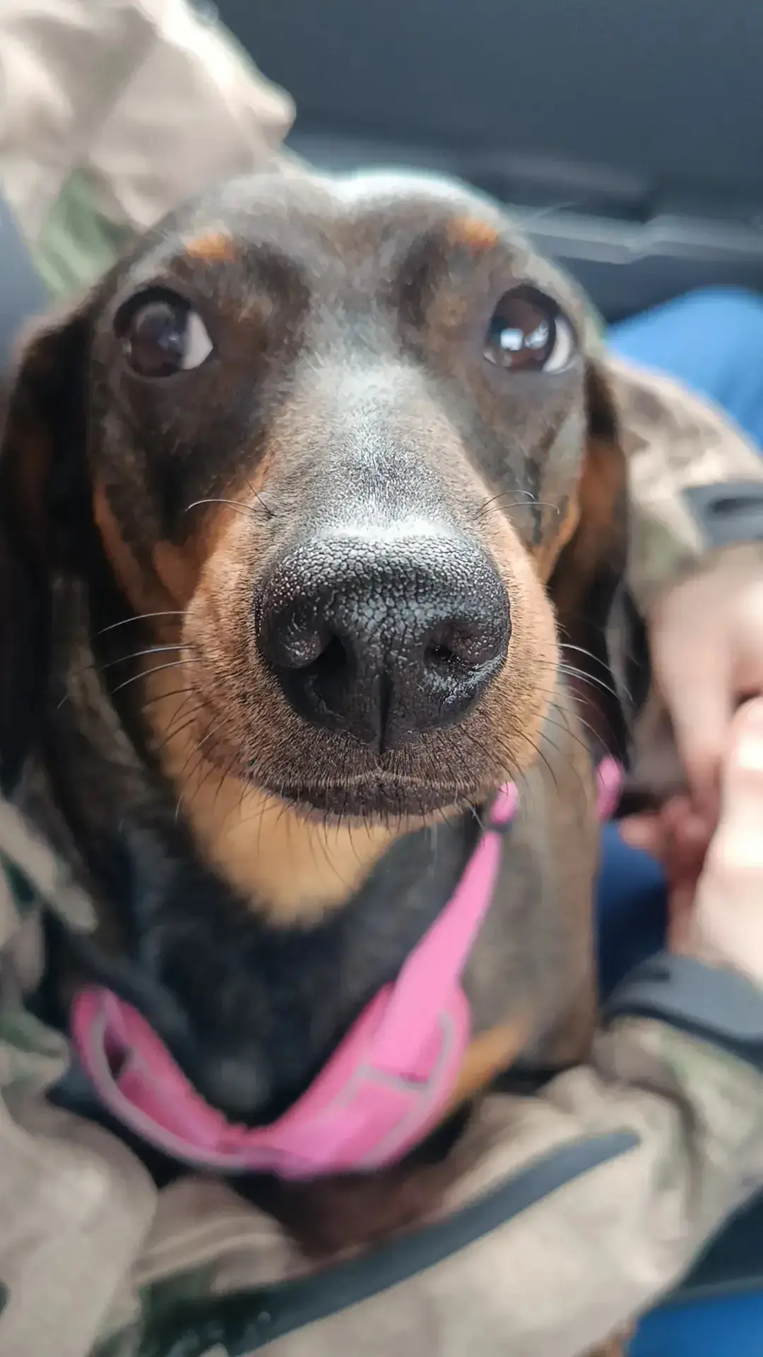 Сладкая булочка🥰