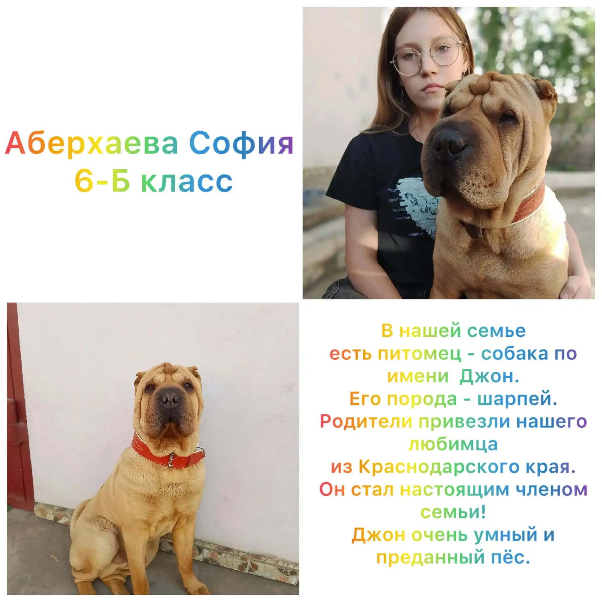 В ГБОУ «Школа №2 Амвросиевского М.О.» прошла трогательная фотоакция «Мы в ответе за тех...